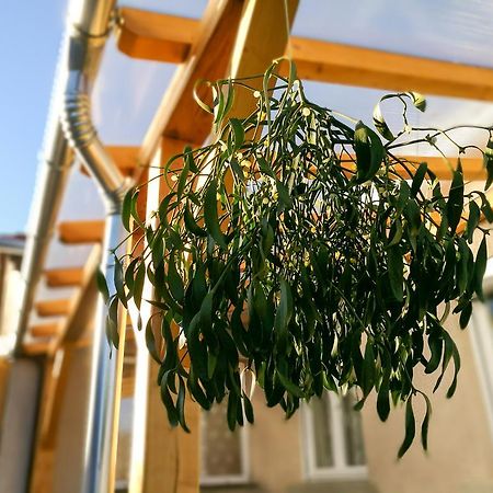 Ferienwohnung Fagyoengy Sárvár Exterior foto